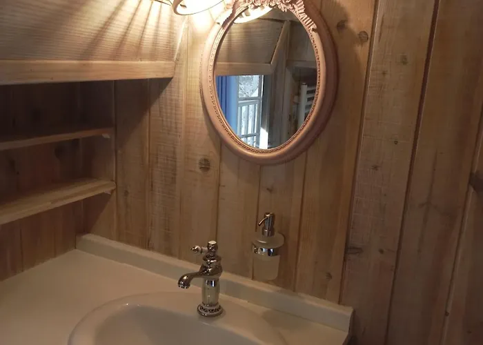 Rose Villeneuve-les-Montreal